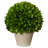 Kinsley Foliage Topiary in Pot-15059613