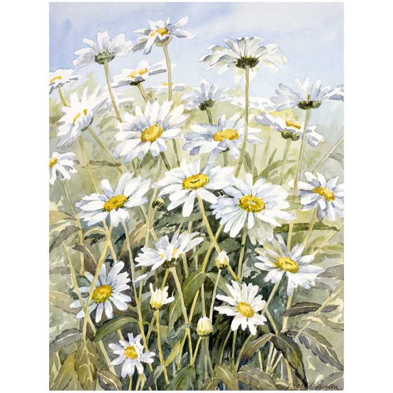 Drapeau de jardin «Fere Daisies» par Bettie Cheesman, H 15 po x l 11 po