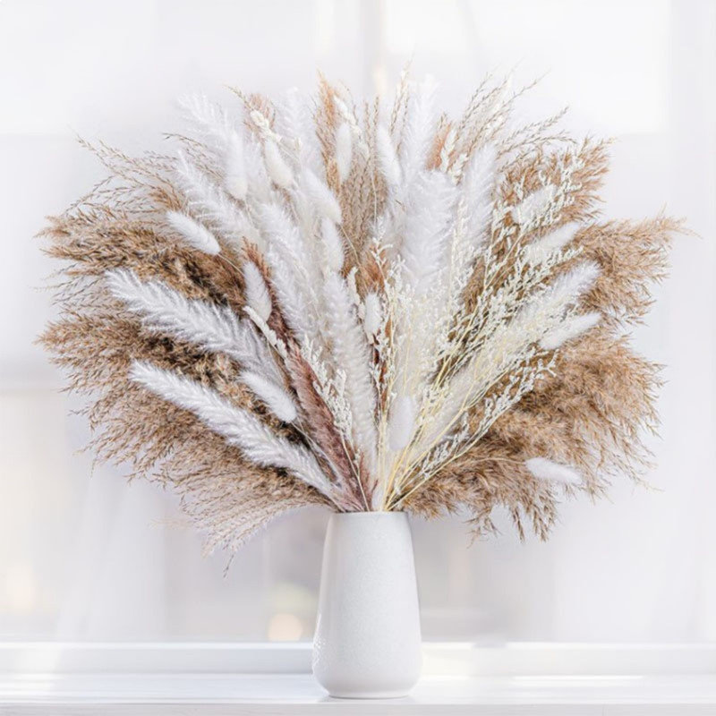 Bouquet d'herbes de pampas séchées naturelles, arrangement floral boho phrases pour mariage et décoration intérieure