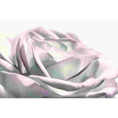 " Blush Rose II " by Lori Deiter