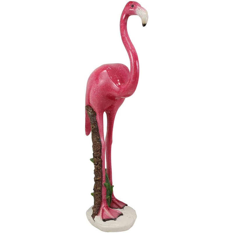 Flamant vierge vierge paradise Weatherford