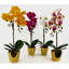 Faux Plant in Pot Liner-101685222-114283647