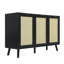 Craven 3-door Cane Cabinet