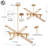 Monier 5 - Light Dimmable Chandelier-1751039947