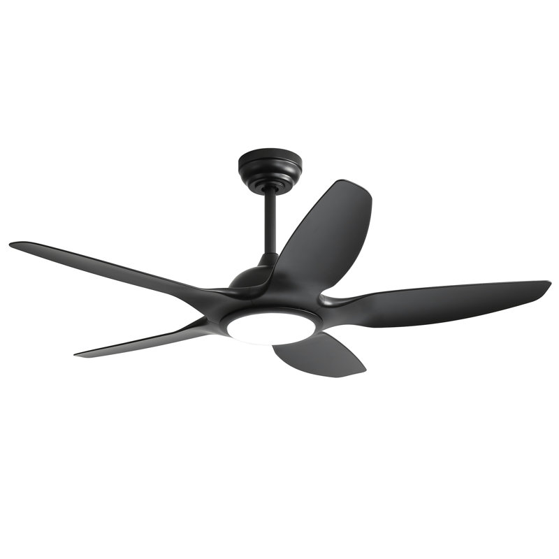 Ventilateur de plafond 48 pouces avec lumière DEL à intensité variable et télécommande, moteur à courant continu à 5 pales ABS