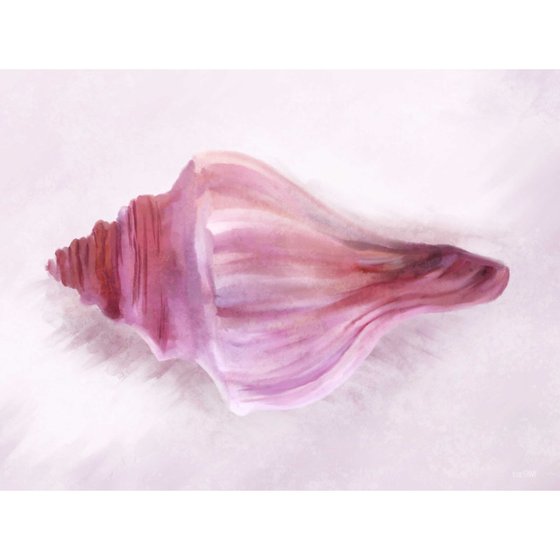 Conch Shell Blush I - impression sur toile tendue, H 12 po x l 16 po