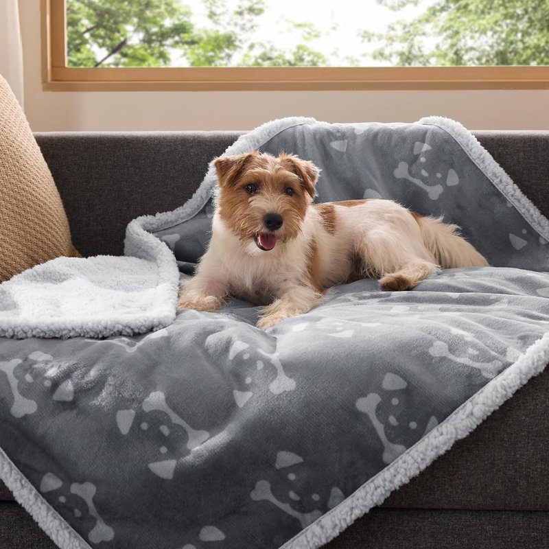 Jeté de lit imperméable pour petits chiens et chats, housse réversible imprimée en molleton Sherpa, L 40 po x l 30 po, Gris