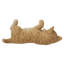 Chat couché