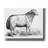 'Ewe' by Art Licensing Studio Canvas Wall Art-1329263735