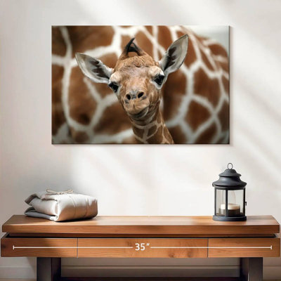Brampt Giraffe And Baby