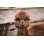 Portrait d'alpaga - Photographie sur toile tendue