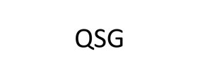 Logo QSG