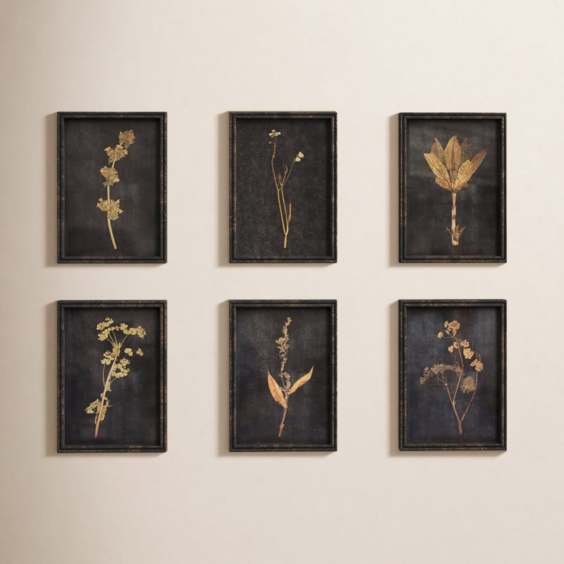  Botanical Prints Under Glass 14"H – Distressed Black Wood Frame Farmhouse Wall Decor (Set of 6)