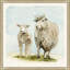 Lamb Duo Print