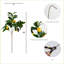 28in. Artificial Lemon Stems, Set of 3