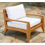 Noida Outdoor Lounge Chair