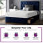 Gallego Upholstered Divan Bed-386540454-386540455-386542527