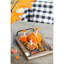 Ornement en forme de citrouille 5 x 7 po, ensemble de 6 pour le Festival d'automne des Fêtes et l'Action de grâce
