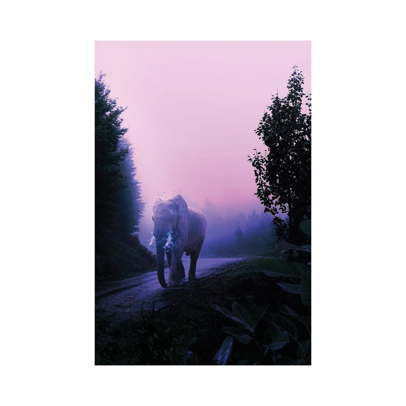 Elephant by Milos Karanovic - Wrapped Canvas Print, 101.6 cm H x 66.04 cm W x 3.175 cm D