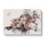 Chocolate Labrador Portrait - Wrapped Canvas-56659274