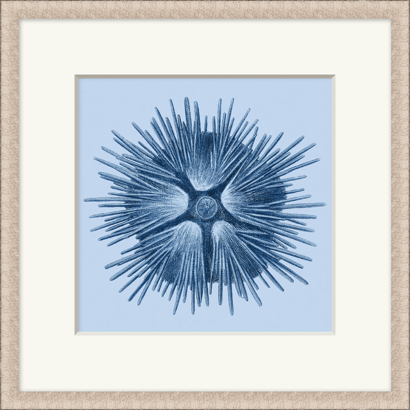 Sea Specimin 1 Print