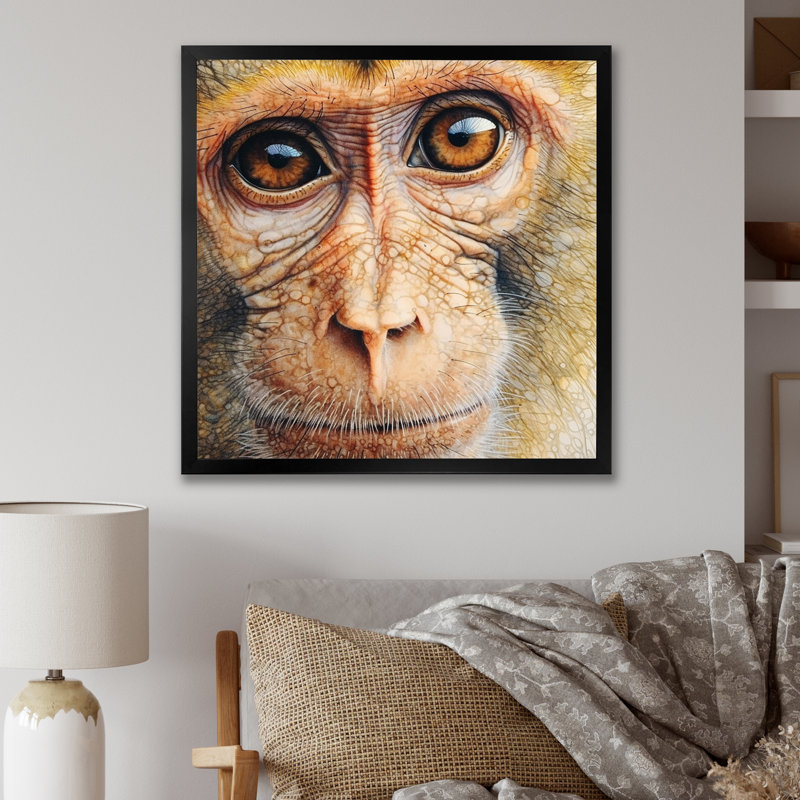 Wild Monkey III - reproduction sur toile, Cadre simple noir, H 36 po x l 36 po x P 1,5 po