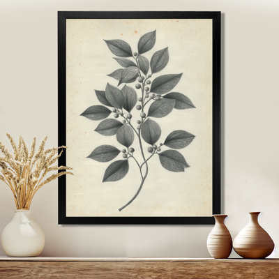 Impression sur toile botanique grise