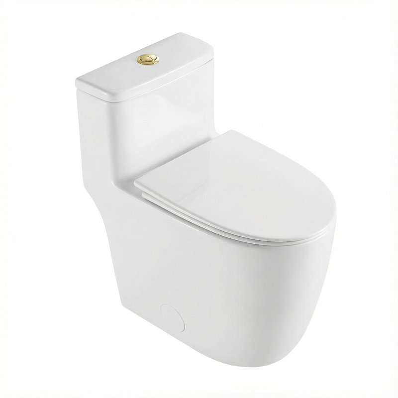 Toilette allongée Modern