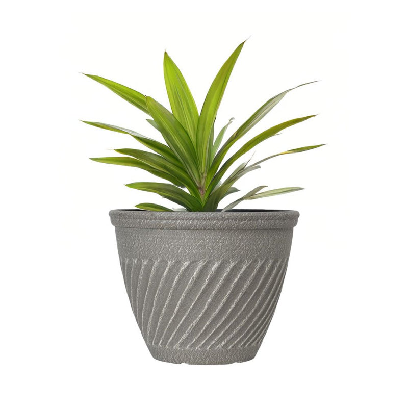 Pot Planter, 31.2cm H x 39.2cm W x 39.2cm D
