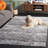 Antwan Penelope Shag Performance Abstract Rug-1588904859
