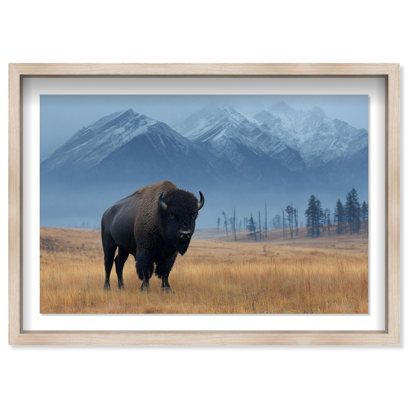 Mountain Bison I Shadowbox Animals Print by Oliver Gal, Black Frame, 15 x 10, Natural Oak Shadowbox, 37.5"H x 25.5"W