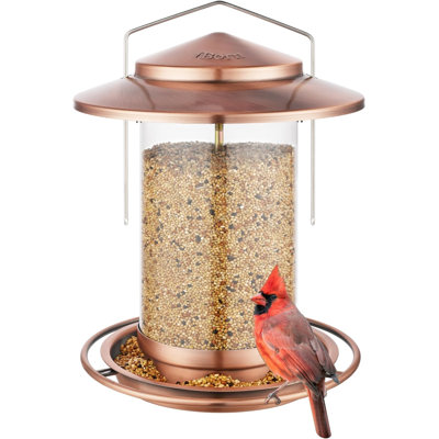 Hanging Tube Bird Feeder