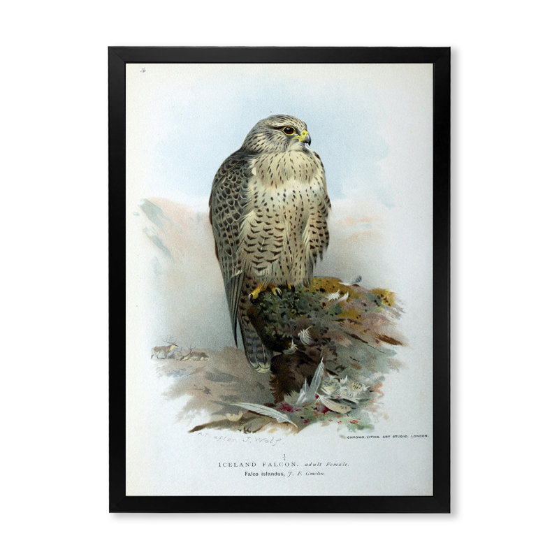 Vie d'oiseau rétro V - peinture sur toile, H 40 po x l 30 po x 1,5 po, Cadre photo noir