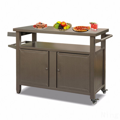 Armoire de rangement pour barbecue avec roulettes, table de barbecue pour l'extérieur