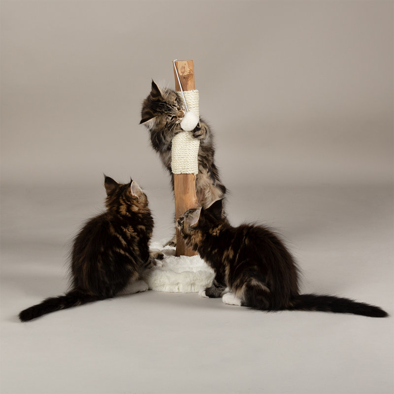 Scruffs Andes "My First" Cat Scratching Tree, Cream