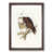 Walnut Framed