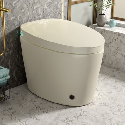 Smart Bidet Toilet With Heated Seat, Warm Water Wash, Auto Flush & Night Light, 12" Rough-In