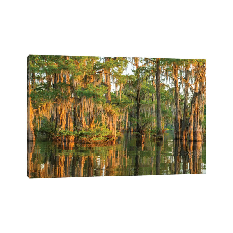 USA, Louisiana, Atchafalaya National Wildlife Refuge. Sunrise on cypress trees and Spanish moss. 1 Piece Wrapped Canvas Wall Art