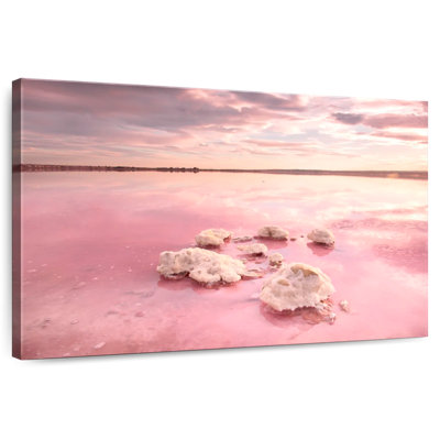 Alvord Torrevieja, lac rose