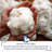 Delara All Season 3in1 Merino Wool Fill Customizable Comforter GOTS Certified 100% Organic Cotton Cover-53545853