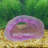 Deco-Replicas Cystal Cave Aquarium Decoration