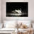 Swan Splashing Water-108842244