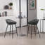 Lucasville Counter Stool with Metal Frame-581991913