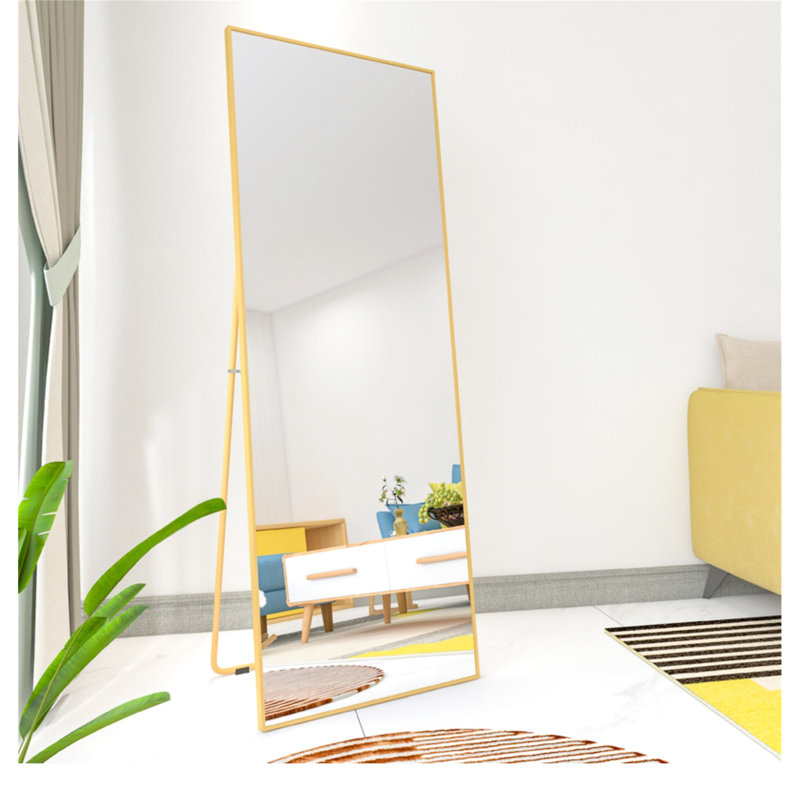 Miroir pleine longueur Golden Alloy, 65 po x 24 po 3 po, 25 lb
