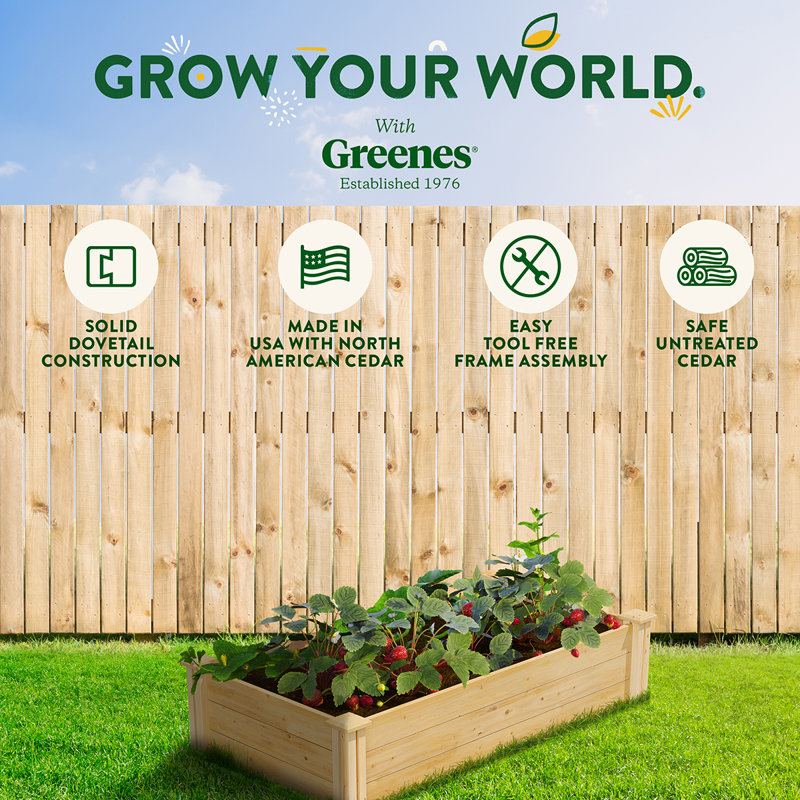 Katsuyoshi Wood Raised Garden Bed, Cedar, 10.5" H x 24" W x 48" D