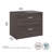 Kasyn 36''W 2 -Drawer Lateral Filing Cabinet-68837979