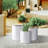 Centonze 3-Piece Pot Planter Set-1227525341