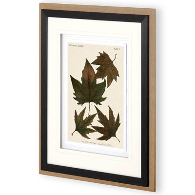 «Autumnal Leaves» par Vision Studio, reproduction d'art encadrée sous verre