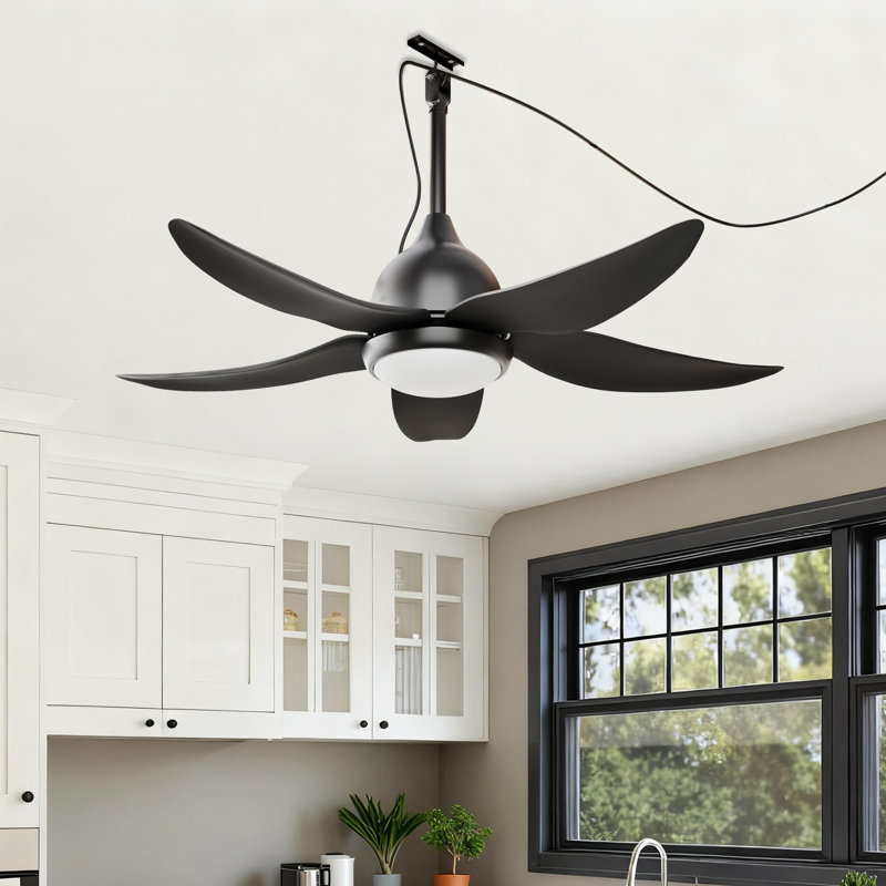 44" Non-hardwired Plug-in Propeller Ceiling Fan with Dimmable LED Lights and Remote Control, Black