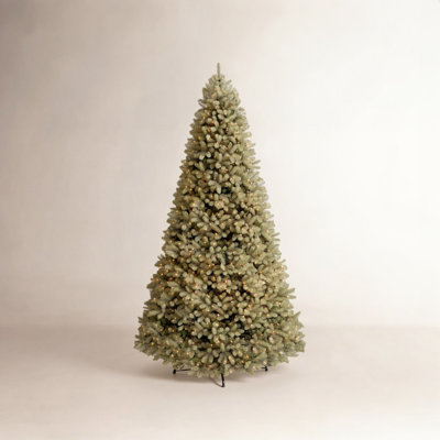 Douglas 10' Pre-Lit Fir Christmas Tree